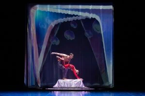 Ballet "Viy. The Nights of Horror"